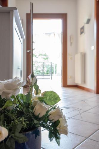 B&B BrentaGiardino