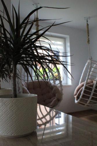 Exterior view of Bajka Anity