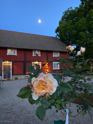 Café Mandeltårtan B&B VillaFloraViola