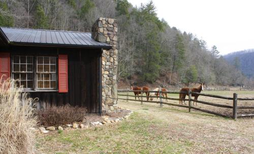 The Bunk House Home - image 3