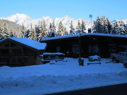Hôtel Chalet Le Caribou photo 22