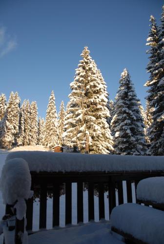 Hôtel Chalet Le Caribou photo 16
