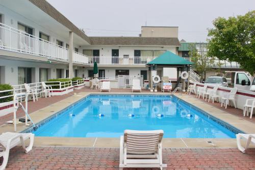 Impala Island Inn - image 7
