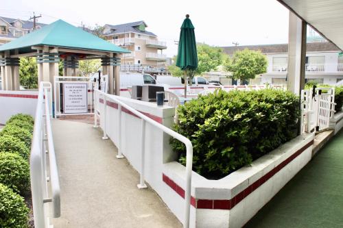 Impala Island Inn in Ocean City, USA