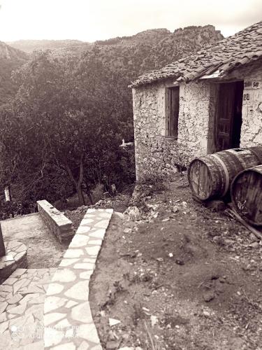 Awesomnest gîte à louer Krionérion