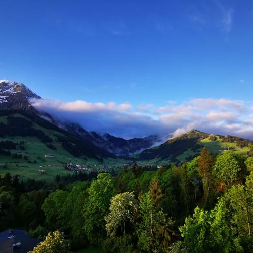 FeWo Fernsicht Crystal in Adelboden, Schweiz