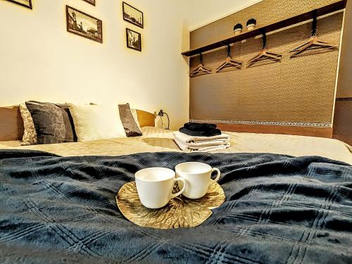 Apartments Historical Centre - image 14