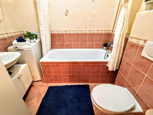 Apartments Historical Centre - image 4