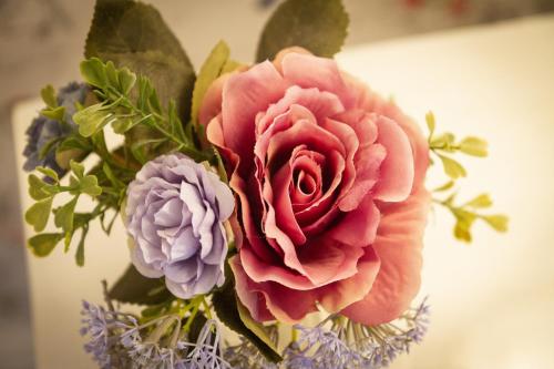 Puddle Duck Lodge – Adults Only - image 9