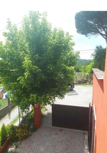 L'ARCA affittacamere