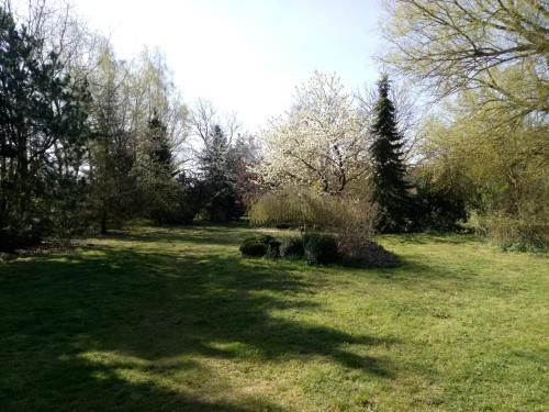 Hotel Leppiner Hof - B&B FRÜHSTÜCKSPENSION (Hotel Leppiner Hof - B&B FRUHSTUCKSPENSION) in Bad Bevensen