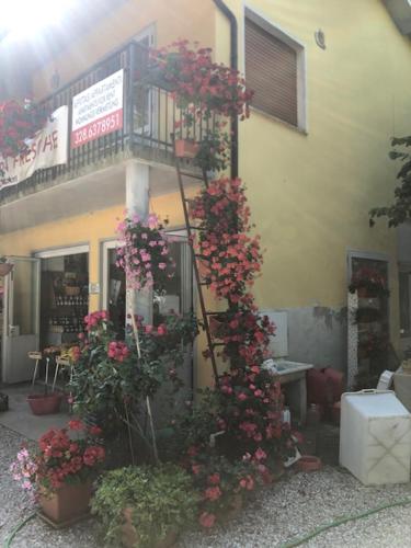 One-Bedroom Apartment (2 Adults)