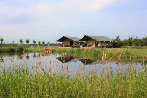  Safaritenten Schotererf in Kuinre