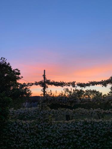Ginger House, Sant'Agata de' Goti (fotografie 4)