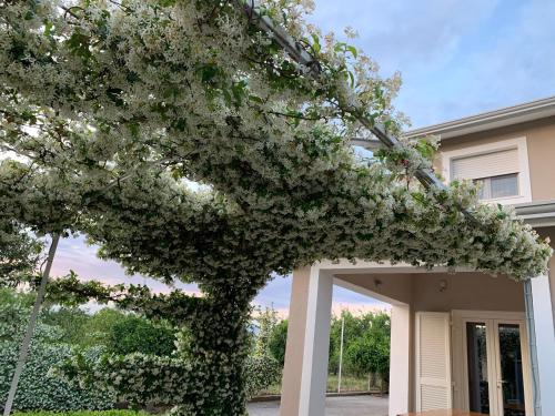  Ginger House in SantʼAgata deʼ Goti