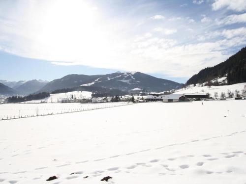 Ferienhaus Maurer - Apartment - Flachau