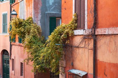 Paglia House of 17Century in Trastevere - image 4