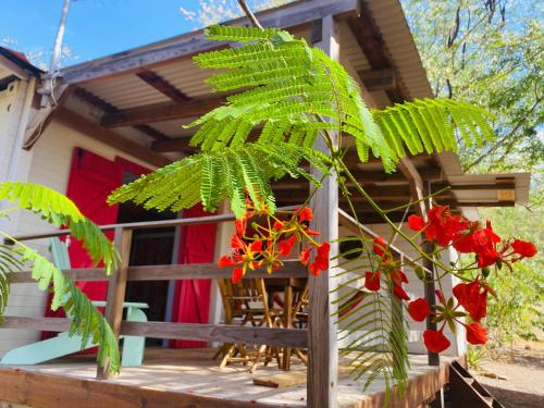 Bungalow de charme , à proximité de la plage