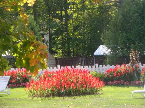 Maple Leaf Inn Lake Placid