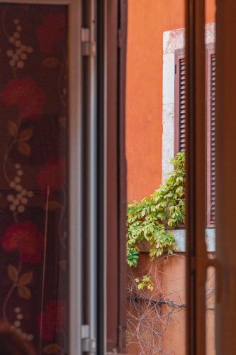 Paglia House of 17Century in Trastevere - image 9