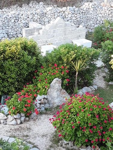 Agriturismo La Palascìa