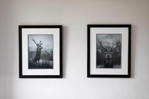 Whitebridge Hotel - image 9