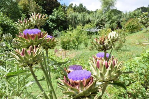  Vale da Palha in Casal do Pardo