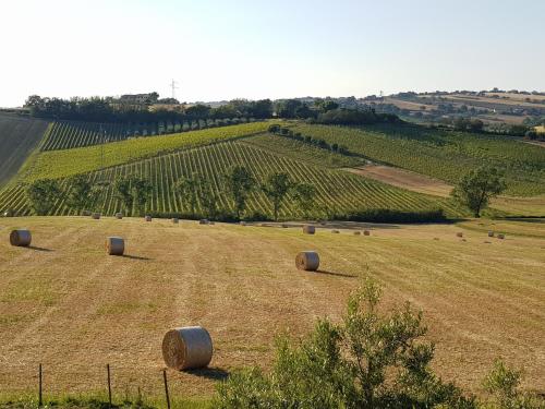 Agriturismo bio Verde Armonia