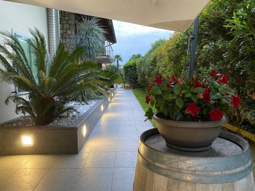 Residence Verdeblu - 출입구
