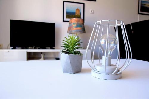 Rab Cityy Apartmennt Greenny - image 6