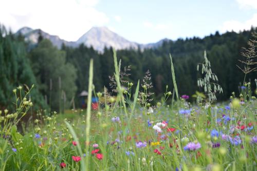 Hotel Mittagskogel in Ledenitzen