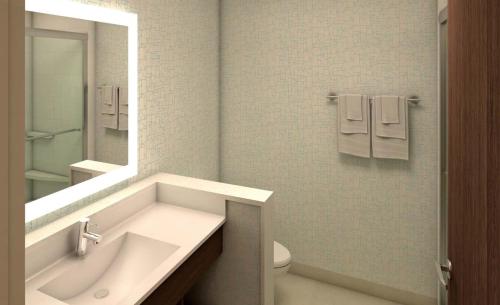 Holiday Inn Express & Suites - Auburn Downtown by IHG