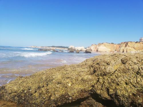 Rocha Praia Mar Beach Front Line Bay