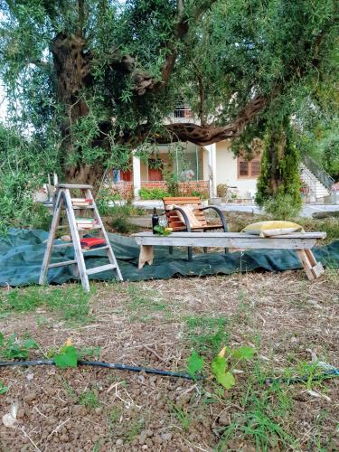 Vista exterior, Villa Calcasacco in Termini Imerese