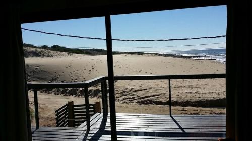 Lobos de Mar, Punta Del Diablo (foto 11)