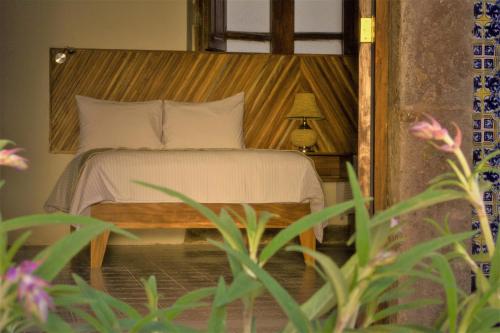 257125633 NaNa Vida Hotel Morelia