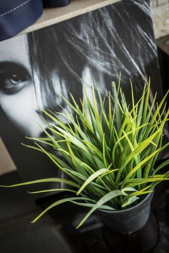 Hostel TST Hostel TST