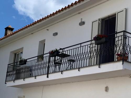  B&B Somiar in San Teodoro