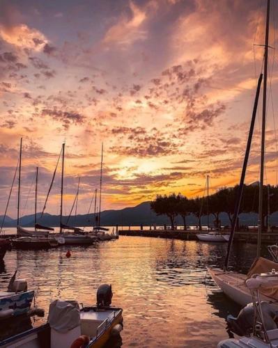 Hotel Nuova Barcaccia