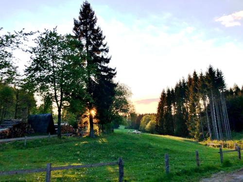 Hotel zur Post - image 3
