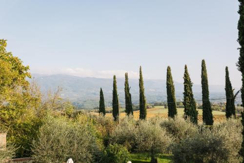 Fattoria Pagnana