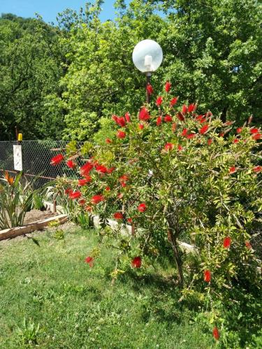 B&B Parco del Lago 5