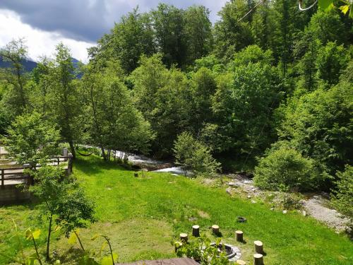 Complex Adela Transfăgărășan