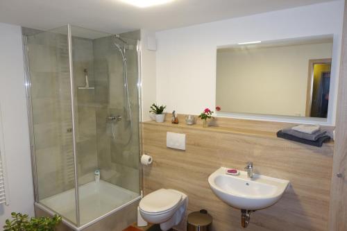 浴室, Ferienwohnung-M8 im schönen Werratal (Ferienwohnung-M8 im schonen Werratal) in 邁因哈爾德