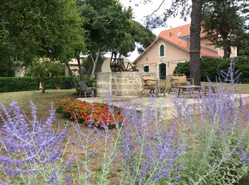 La Maison du Môle 2