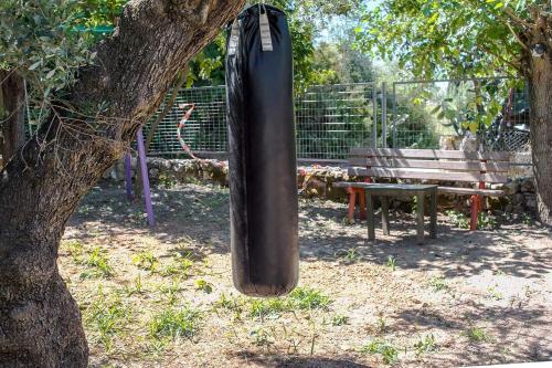 Laura maisons in แคลามาทา