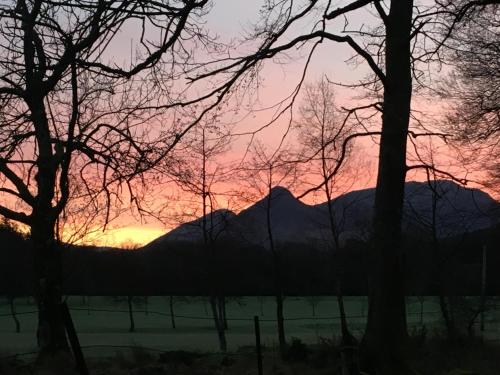 Woodland Cabins, Glencoe