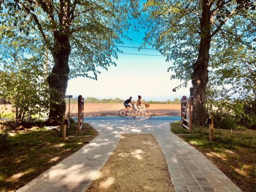 運動及活動, Oscaar vakantiewoning in bos in 庫克拉勒