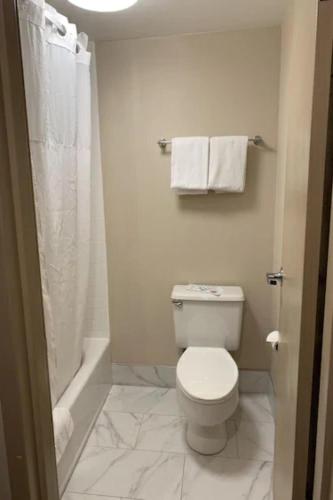 Comfort Inn Horsham - Philadelphia - image 2