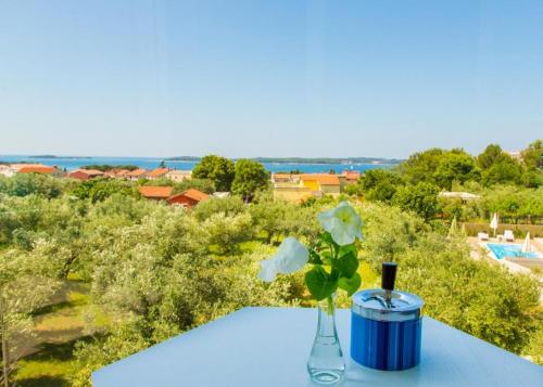 Villa Horizont with Sea View - image 2